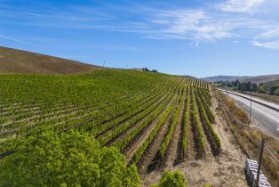 Agriculture,  Jameson Canyon road, Napa, CA 94558 - 18