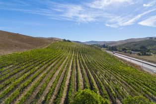 Agriculture,  Jameson Canyon road, Napa, CA 94558 - 19