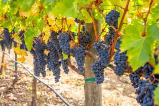 Land, 3800 Jameson Canyon Rd, Napa, CA  Napa, CA 94558