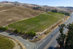 Agriculture,  Jameson Canyon road, Napa, CA 94558 - 21