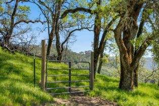 Single Family Residence, Longhorn Ridge road, Napa, CA 94558 - 28