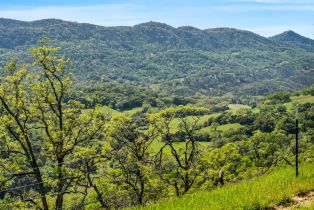 Single Family Residence, Longhorn Ridge road, Napa, CA 94558 - 17