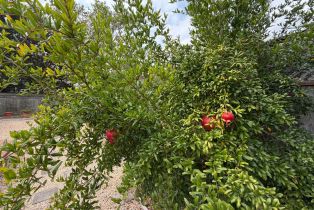 Single Family Residence,  dawn way, Windsor, CA 95492 - 33