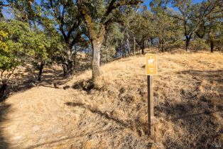 Residential Acreage,  Longhorn Ridge drive, Napa, CA 94558 - 4