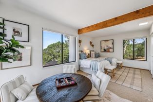 Single Family Residence,  Trinity road, Glen Ellen, CA 95442 - 48