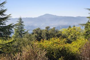 Single Family Residence,  Trinity road, Glen Ellen, CA 95442 - 82
