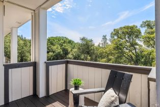 Single Family Residence,  Trinity road, Glen Ellen, CA 95442 - 50