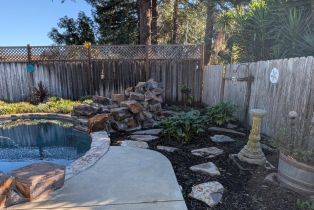 Single Family Residence,  Ellen way, Napa, CA 94558 - 46