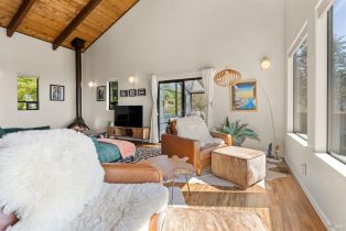 Single Family Residence,  Seaward none, Sea Ranch, CA 95497 - 17