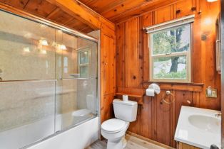 Single Family Residence,  Old River road, Russian River, CA 95436 - 27