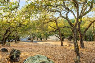 Single Family Residence,  Dance drive, Sonoma, CA 95476 - 3