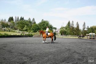 Single Family Residence, 501 Laguna Vista road, Santa Rosa, CA 95401 - 15