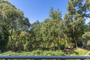 Townhouse, Silverado trail, Napa, CA 94558 - 32