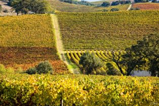 Single Family Residence,  Sobre Vista road, Sonoma, CA 95476 - 63