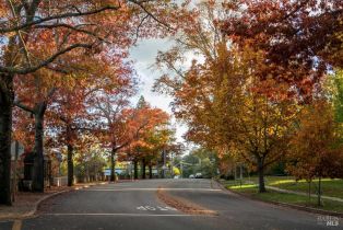 Single Family Residence,  Sobre Vista road, Sonoma, CA 95476 - 62