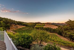 Single Family Residence,  Warm Springs road, Glen Ellen, CA 95442 - 35