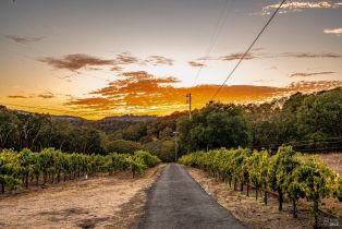 Single Family Residence,  Warm Springs road, Glen Ellen, CA 95442 - 68