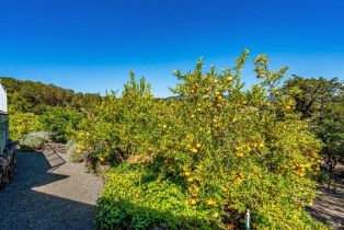 Single Family Residence,  Warm Springs road, Glen Ellen, CA 95442 - 62