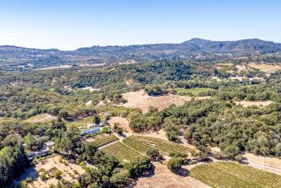 Single Family Residence,  Warm Springs road, Glen Ellen, CA 95442 - 74