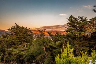 Single Family Residence,  Warm Springs road, Glen Ellen, CA 95442 - 73