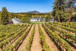 Single Family Residence,  Warm Springs road, Glen Ellen, CA 95442 - 65