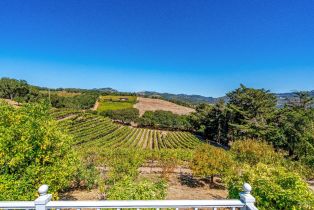 Single Family Residence,  Warm Springs road, Glen Ellen, CA 95442 - 10