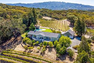 Single Family Residence,  Warm Springs road, Glen Ellen, CA 95442 - 64