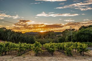 Single Family Residence,  Warm Springs road, Glen Ellen, CA 95442 - 67