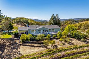 Single Family Residence,  Warm Springs road, Glen Ellen, CA 95442 - 60