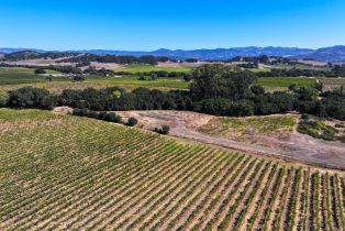 Single Family Residence, Sonoma highway, Napa, CA 94559 - 7