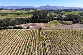 Single Family Residence, Sonoma highway, Napa, CA 94559 - 11