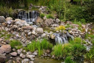 Single Family Residence,  Half Moon street, Sonoma, CA 95476 - 34