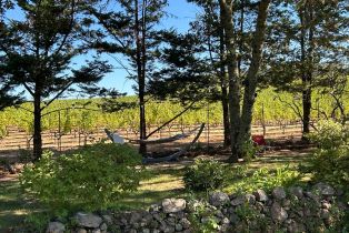 Single Family Residence,  White Cottage road, Angwin, CA 94508 - 2