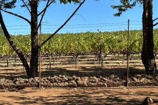 Single Family Residence,  White Cottage road, Angwin, CA 94508 - 21