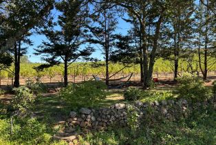 Single Family Residence,  White Cottage road, Angwin, CA 94508 - 6