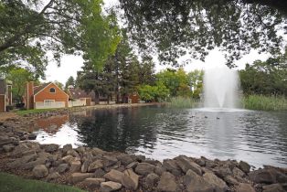 Single Family Residence,  Luna court, Santa Rosa, CA 95405 - 23