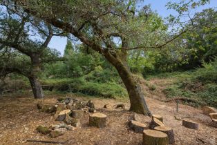 Single Family Residence,  Sparkes road, Sebastopol, CA 95472 - 39