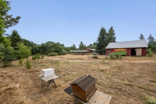 Single Family Residence,  Sparkes road, Sebastopol, CA 95472 - 37