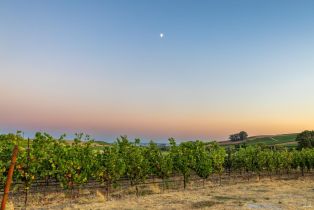 Land, 1299 Duhig Rd, Napa, CA  Napa, CA 94559