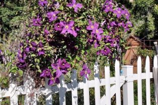 Single Family Residence,  Blackwood court, Napa, CA 94558 - 68