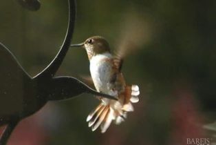 Single Family Residence,  Blackwood court, Napa, CA 94558 - 65