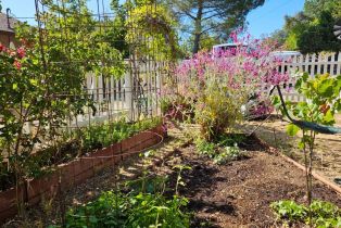 Single Family Residence,  Blackwood court, Napa, CA 94558 - 62