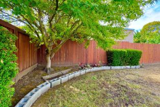 Single Family Residence, Parrett avenue, Napa, CA 94558 - 15