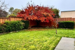 Single Family Residence,  Parrett avenue, Napa, CA 94558 - 21
