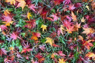 Single Family Residence,  Parrett avenue, Napa, CA 94558 - 23