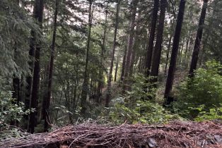 Single Family Residence,  Huckleberry heights, Russian River, CA 95421 - 69