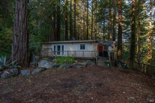 Single Family Residence,  Huckleberry heights, Russian River, CA 95421 - 6