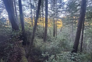 Single Family Residence,  Huckleberry heights, Russian River, CA 95421 - 56