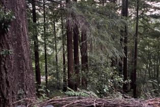 Single Family Residence,  Huckleberry heights, Russian River, CA 95421 - 71