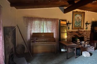 Single Family Residence,  Huckleberry heights, Russian River, CA 95421 - 42